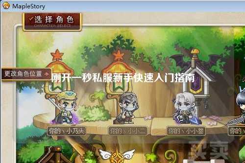 刚开一秒私服新手快速入门指南