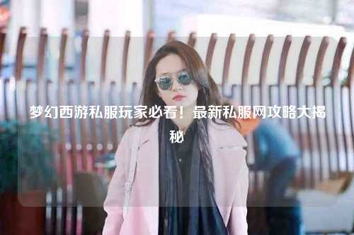 梦幻西游私服玩家必看！最新私服网攻略大揭秘