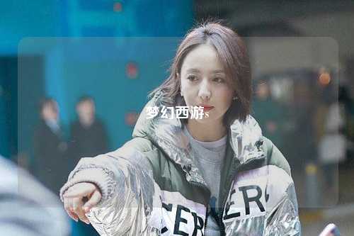 梦幻西游s