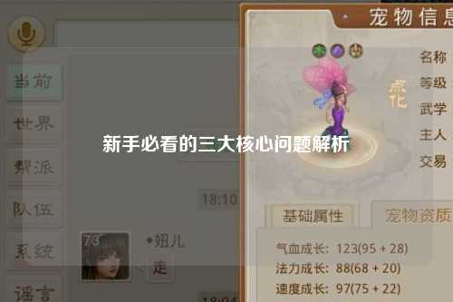 新手必看的三大核心问题解析