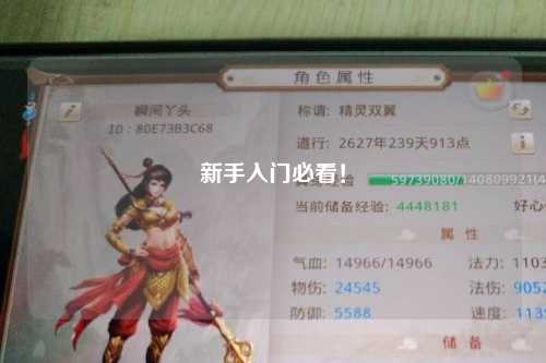 新手入门必看！