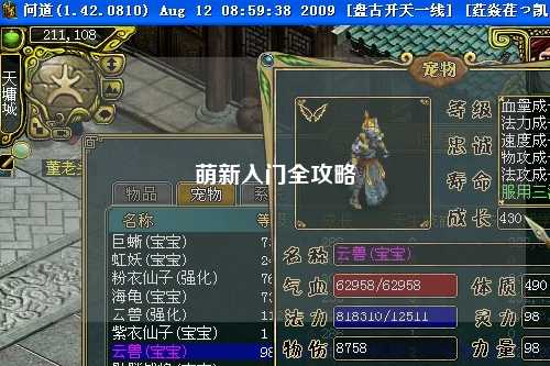 萌新入门全攻略