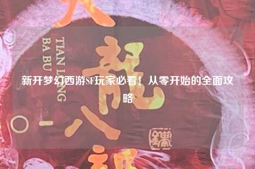 新开梦幻西游SF玩家必看！从零开始的全面攻略