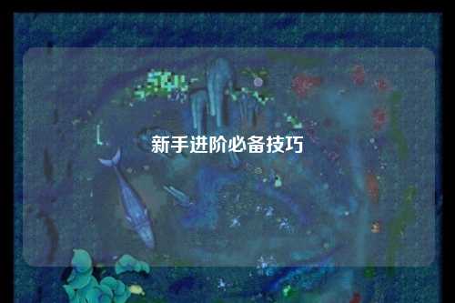 新手进阶必备技巧
