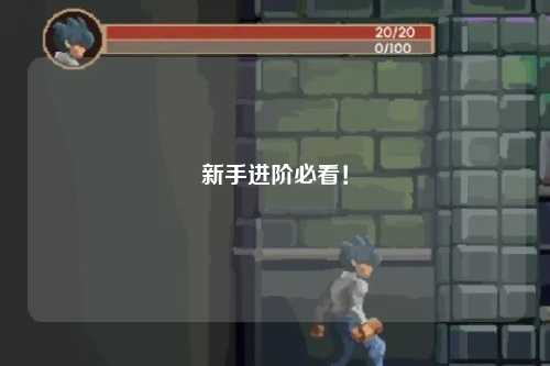 新手进阶必看！