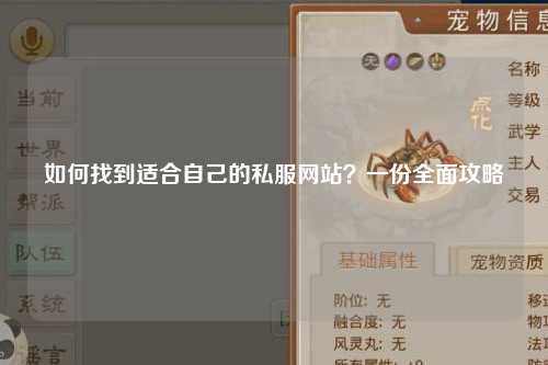 如何找到适合自己的私服网站？一份全面攻略