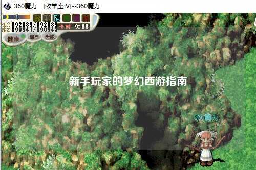 新手玩家的梦幻西游指南