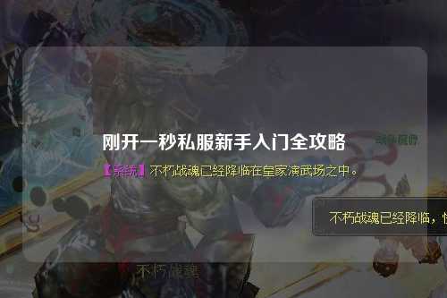 刚开一秒私服新手入门全攻略