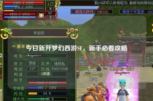 今日新开梦幻西游SF，新手必看攻略