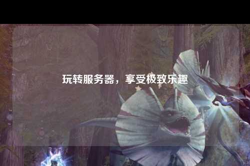 玩转服务器，享受极致乐趣