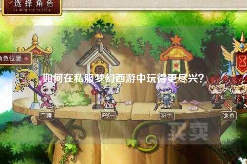 如何在私服梦幻西游中玩得更尽兴？