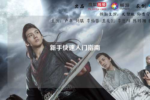 新手快速入门指南