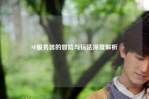 SF服务器的冒险与玩法深度解析