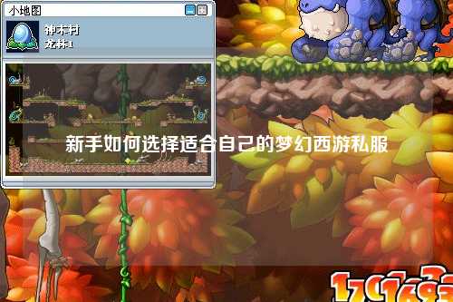 新手如何选择适合自己的梦幻西游私服