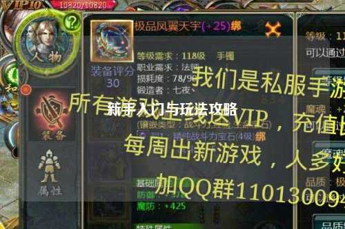 新手入门与玩法攻略