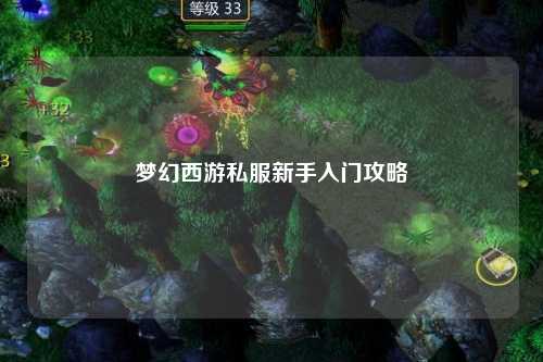 梦幻西游私服新手入门攻略