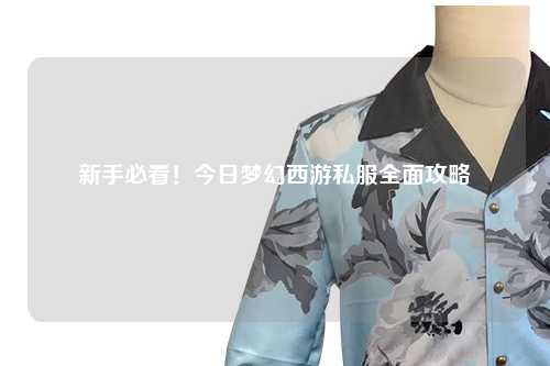 新手必看！今日梦幻西游私服全面攻略