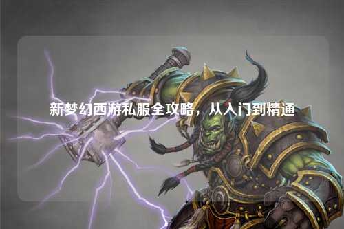 新梦幻西游私服全攻略，从入门到精通