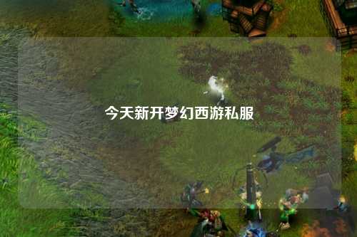 今天新开梦幻西游私服