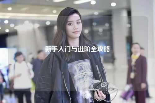 新手入门与进阶全攻略